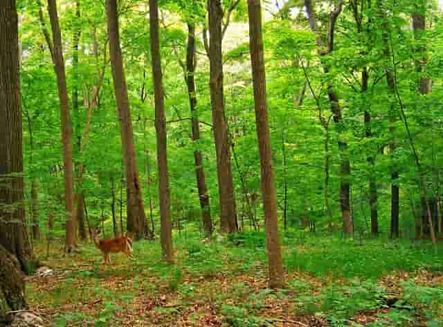 女儿叫爸爸不理她(爸爸和女儿的关系叫什么)