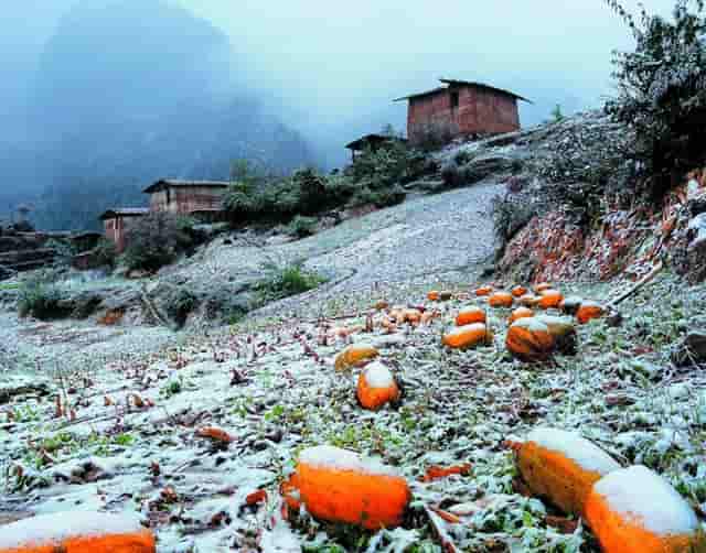 橙色润唇膏DIY，在湘语梅溪遇见最美的自己