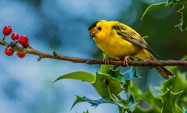 2020上虞所有高中录取分数线