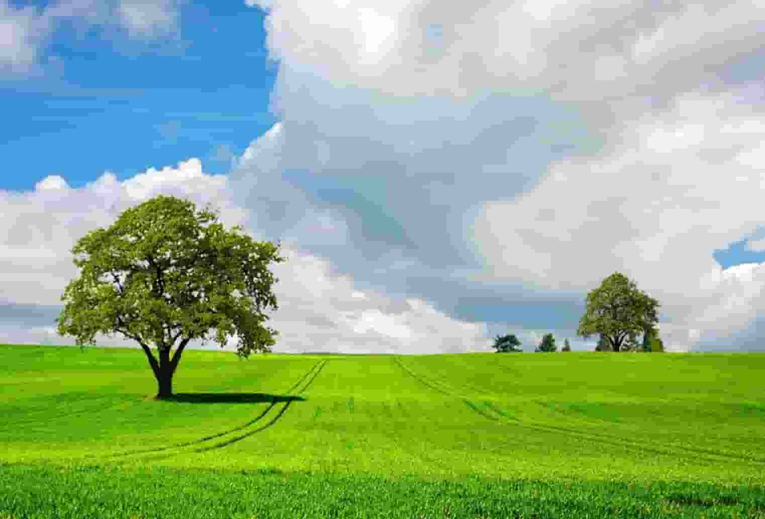 杏仁优护：老年人患肺结核如何居家护理？