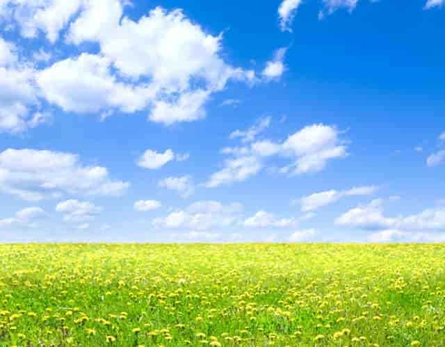 16个生活小技巧(生活小技巧妙招)