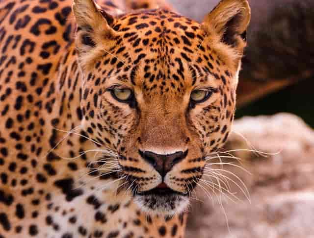 公司经营无关业务