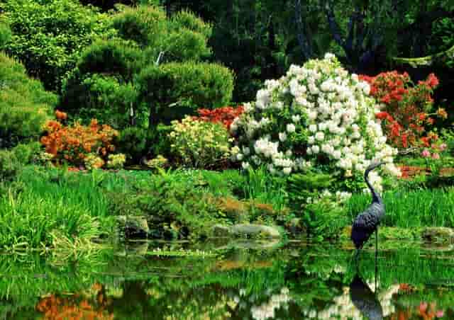 大专考试算是高考吗