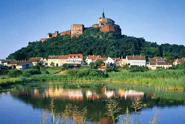 袖虎病猫攻略：猫氨的作用你知道多少？