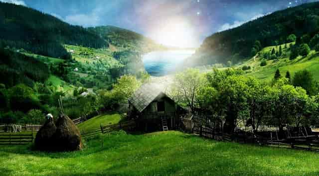 袖虎的病猫护理建议在这里哦！