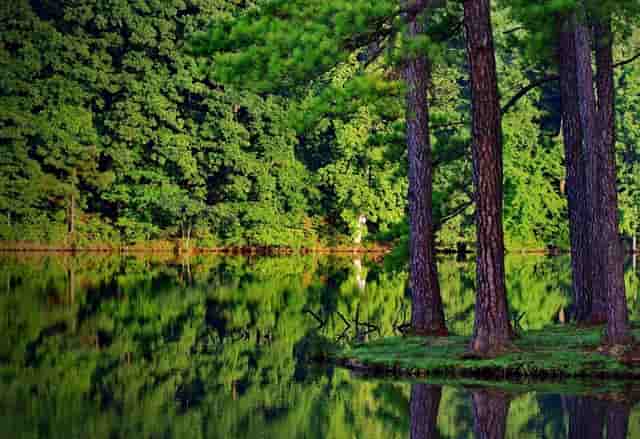 左侧鼻骨骨折指的是哪里