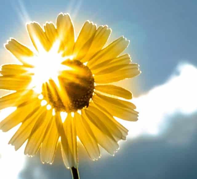 招财进宝垫(门垫招财进宝怎样摆)