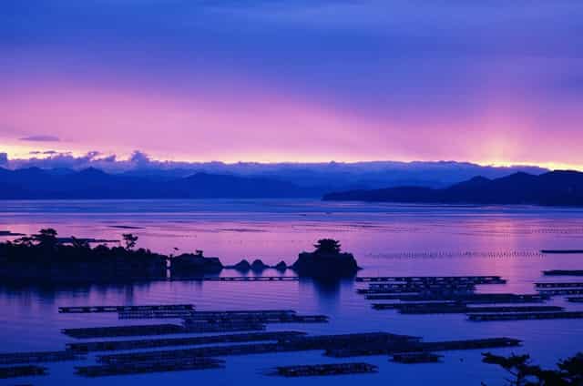 海贼王无手果实