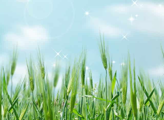 不用手洗的破壁机K1评测：颜值与功能兼修 从此享受轻养生活