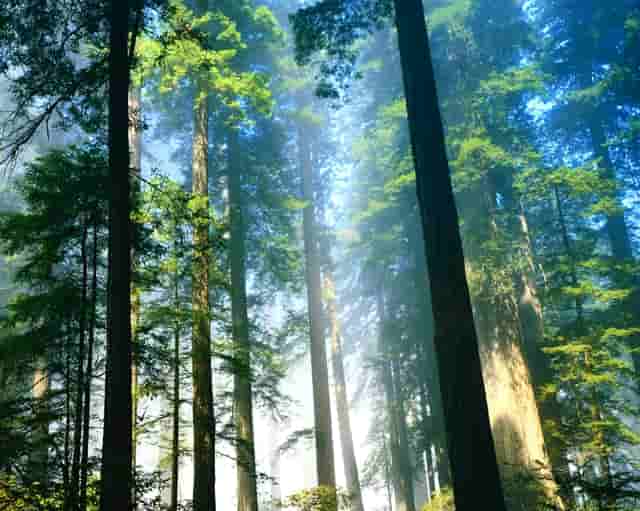 企业要交的税金