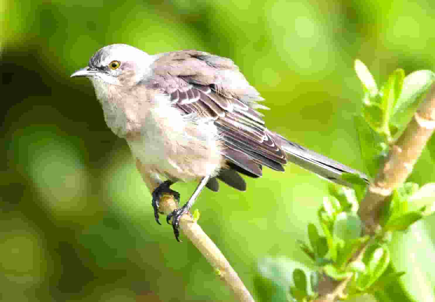 蔡嘉珍獲得註冊理財規劃師專業稱銜，秉持職業操守與執業準則，開啟財務規劃新征程