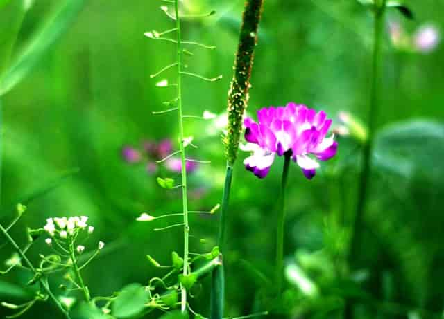 2022年最新优质域名投资