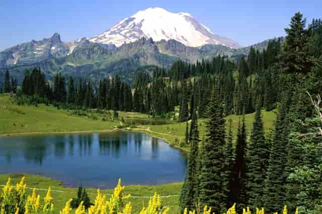 盐城传销是诈骗吗？怎么反传销！