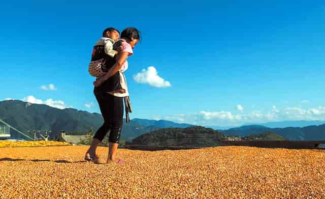 处女座相思的星座