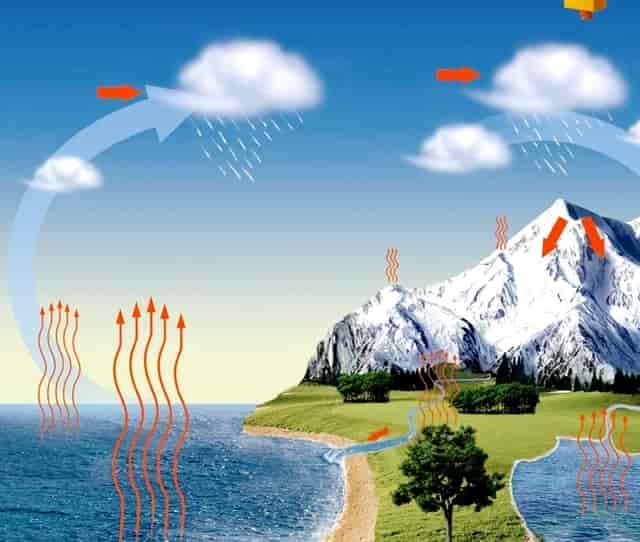 袖虎病狗攻略：可能不是所有人都知道，狗狗也有大姨妈