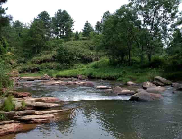 锡林郭勒盟 第一起全链条打击的电信诈骗案件，抓了二十人，判了二十人