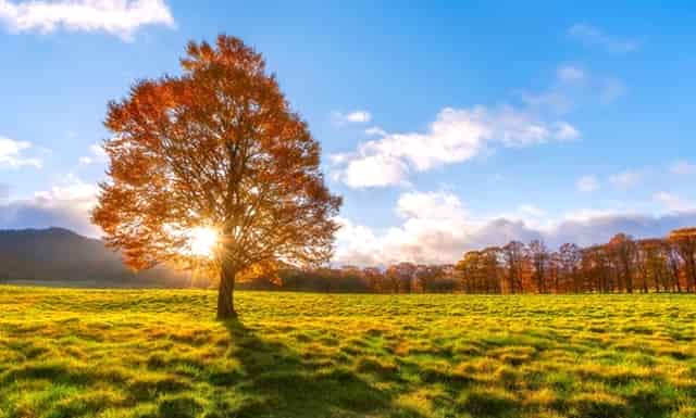 realme真我如何黑屏显示字