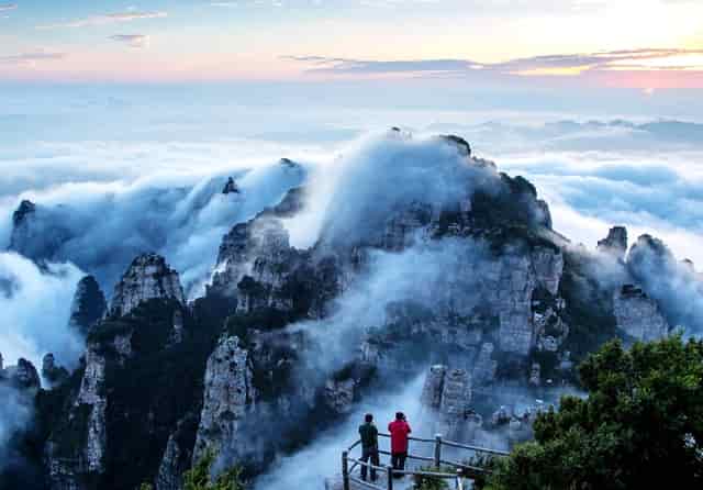 小猫吃不胖，袖虎探寻背后原因！