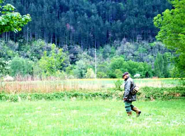 长沙云翼培训学校获喜报，高考小语种助你走进名校大门！