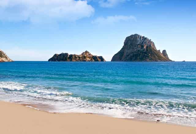 狗狗眼睛红红，袖虎知道得了什么病！