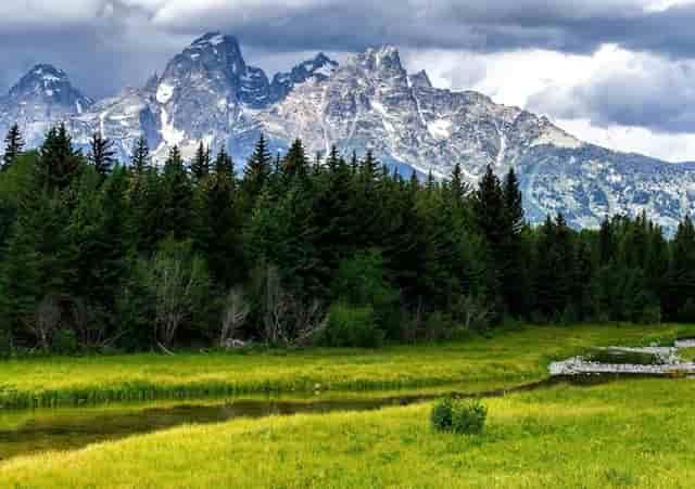 袖虎这个训猫技巧，一般人不知道