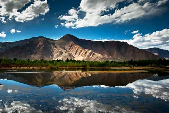 分析宠物销售市场，看袖虎如何养猫生财！