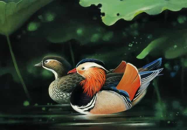 中国铁建·湘语梅溪|冬日暖心礼，缤纷过圣诞！