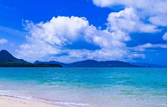 YCY星钻石波点复古连衣裙出道 丘吉尔也爱波点 快来做复古潮流的引领者