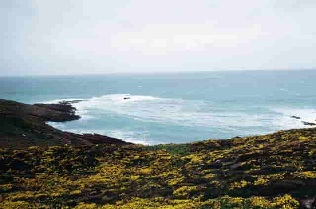 时尚男性服装搭配技巧(夏季服装搭配女时尚)