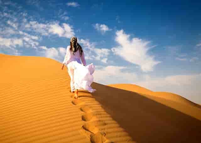 袖虎病猫攻略：猫咪指甲崩飞了怎么办