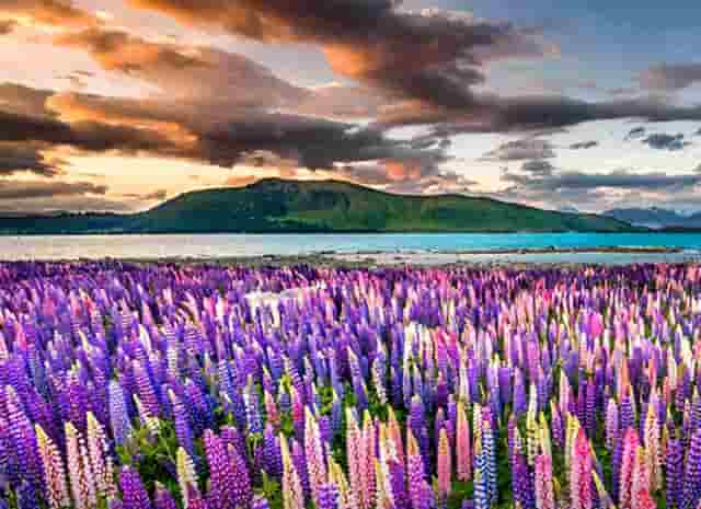 直发器怎么用小技巧教你塑造时尚