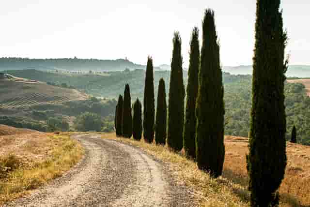变力为什么能用平均值替代