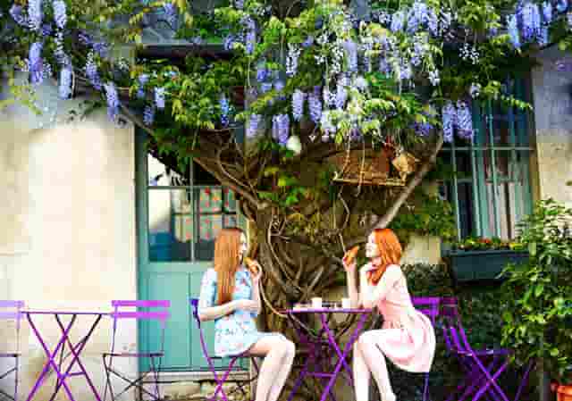 袖虎病猫攻略：猫猫上火那些事