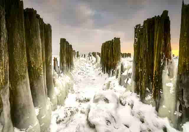 听听袖虎对宠物店卖病猫一事的分析