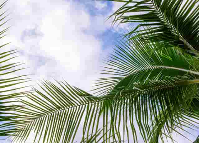 稀土类股票走势(北方稀土股票走势行情)