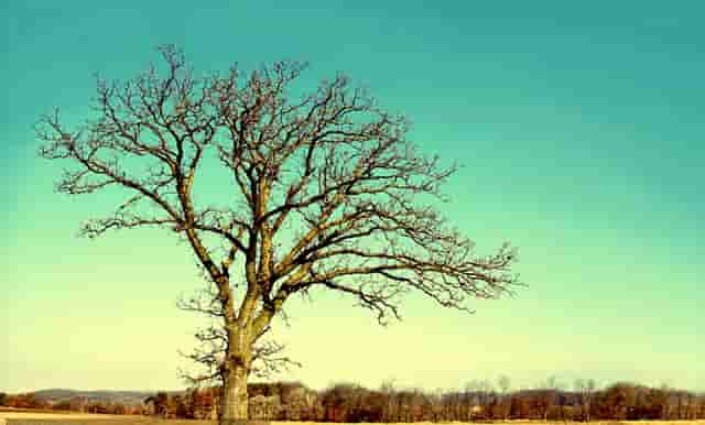 diy时尚创意小技巧