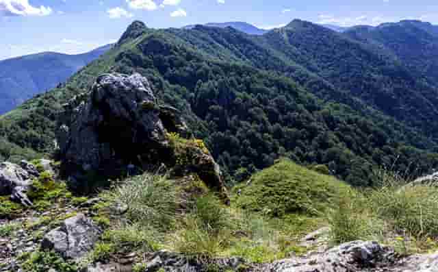 成功的秘诀完整版视频