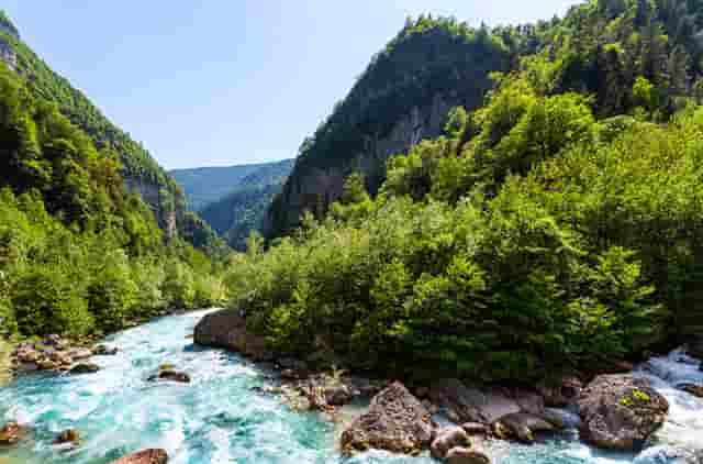 蔡嘉珍成功註冊理財規劃師，邁出專業領域新里程碑