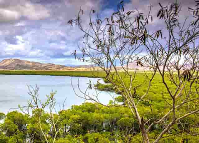 中国金属网，全球精准的金属平台信息