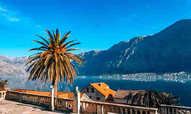 冬季时尚穿搭技巧(鞠婧祎冬季时尚穿搭)