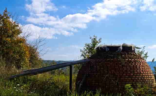 2022年最新优质域名投资