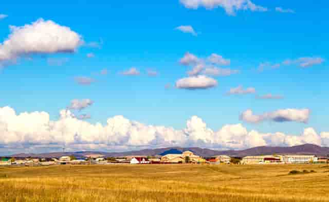 大赢家你看过吗(大赢家上哪看)