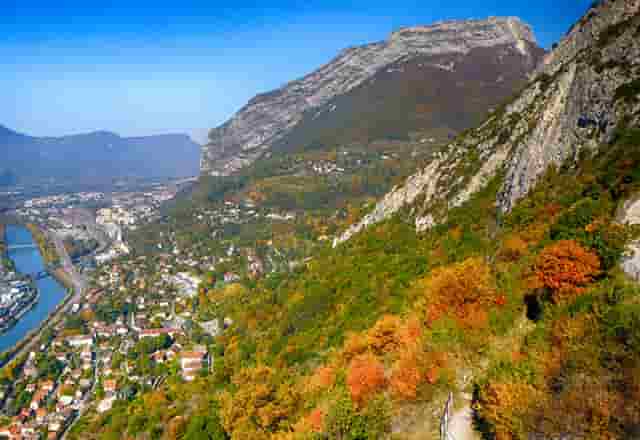 袖虎宠物商业调查：开宠物店如何采购活体资源