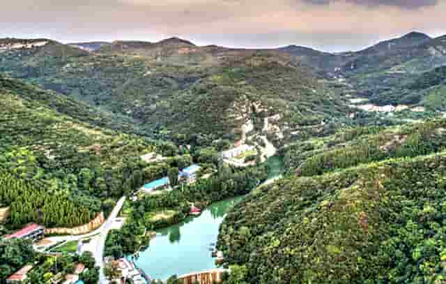 袖虎宠物解答：食品添加剂于猫咪而言都是垃圾吗？