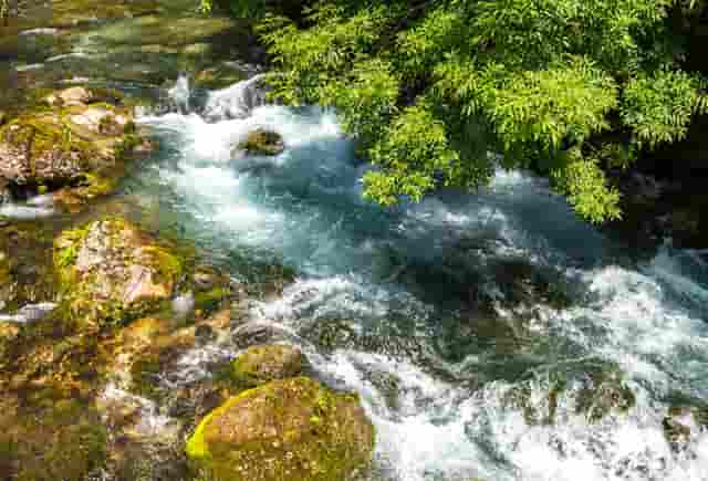 女性时尚穿搭技巧(夏季女性时尚穿搭)