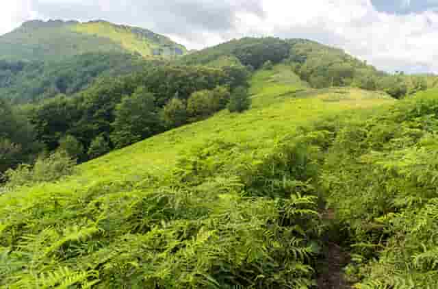 小个女生时尚搭配技巧(夏季女生时尚搭配衣服图片)